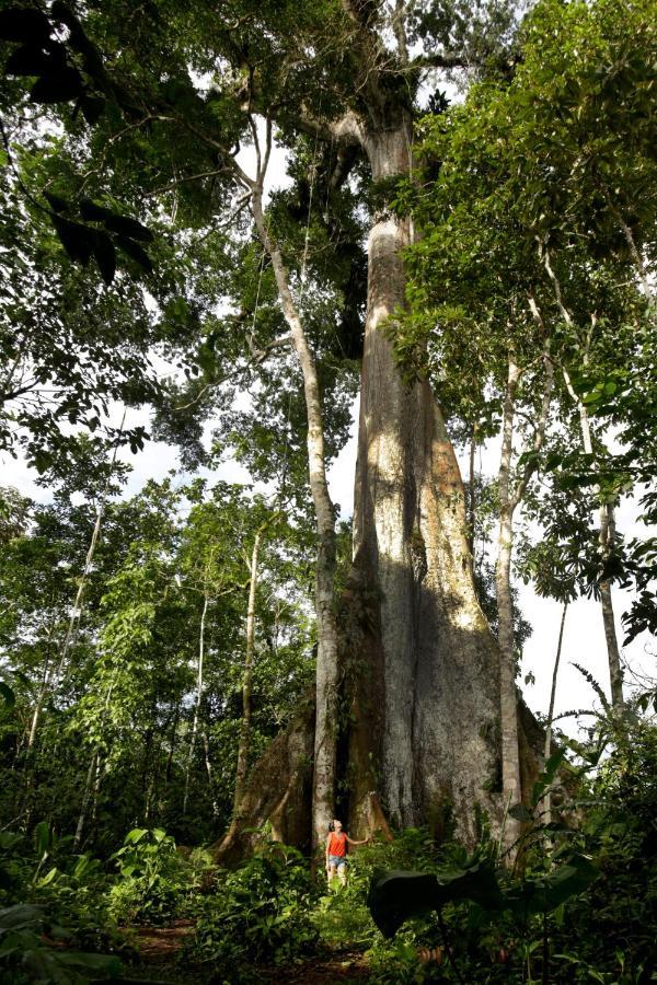 Misahualli Amazon Lodge エクステリア 写真