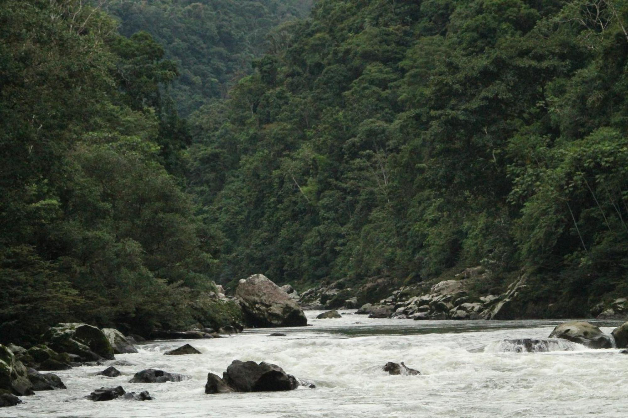 Misahualli Amazon Lodge エクステリア 写真