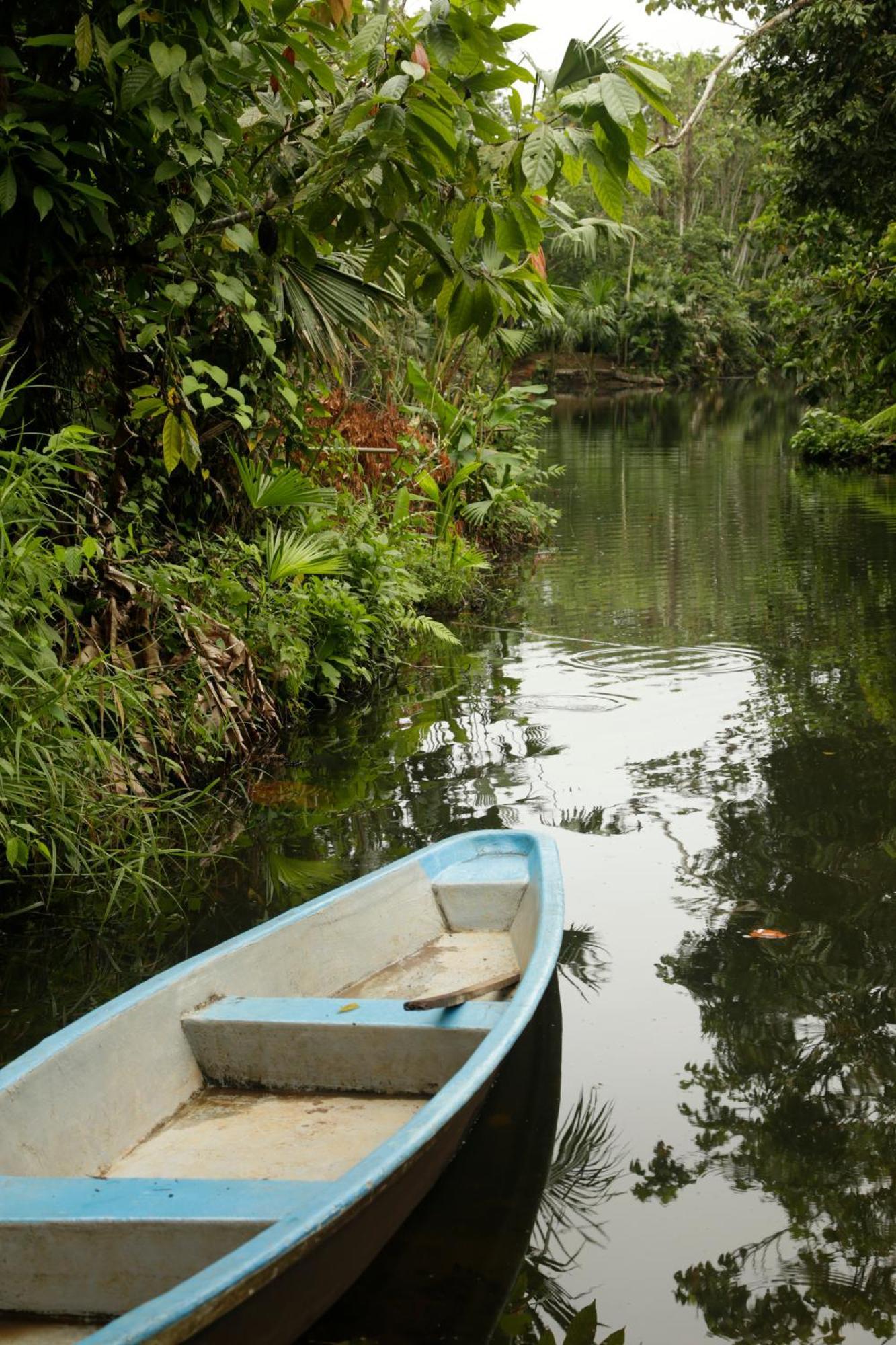 Misahualli Amazon Lodge エクステリア 写真